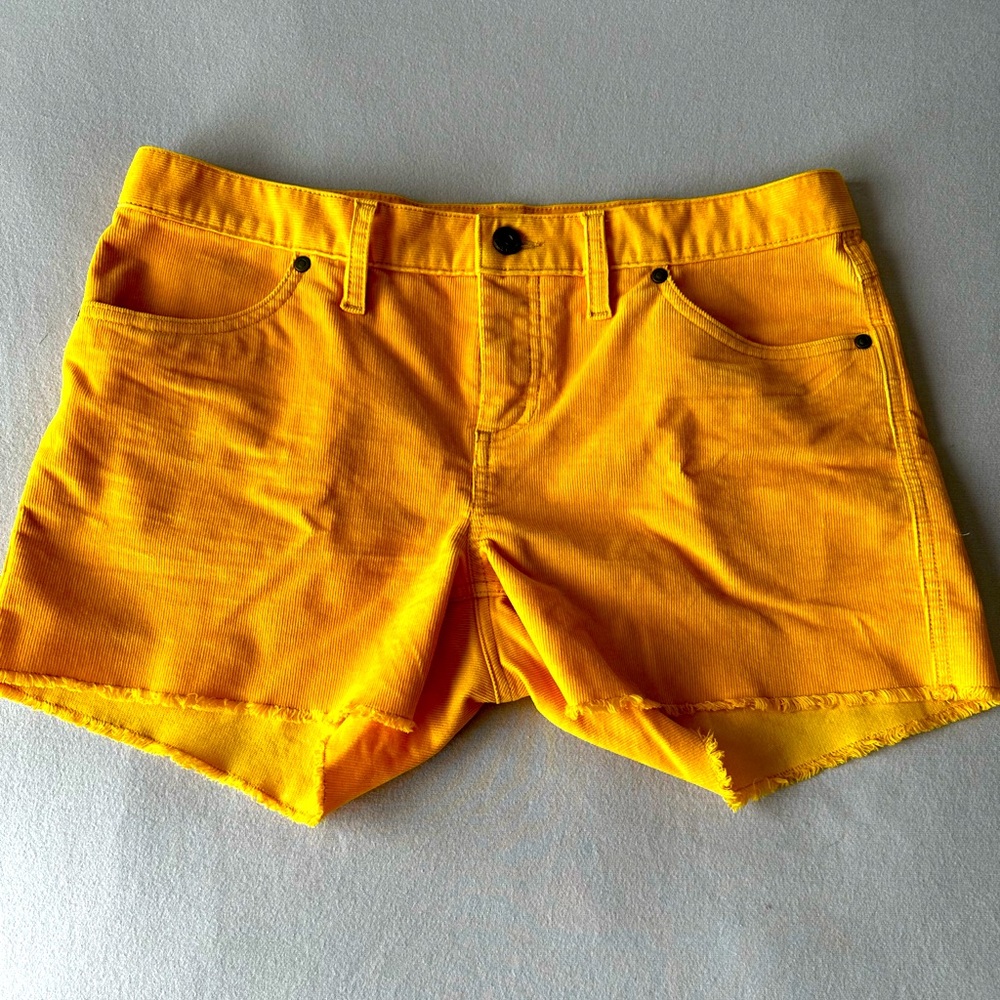 Carve Design Oahu Short